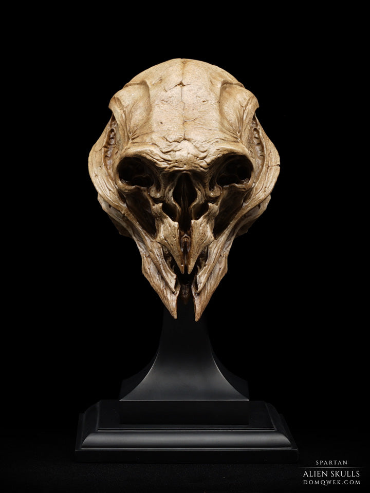 Spartan Skull